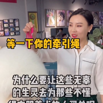 李晶老师教宠物美容