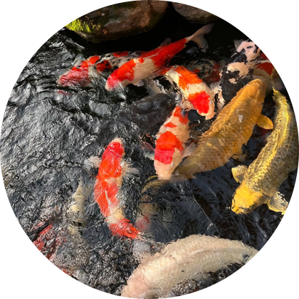 富婆聚集地2 群聊头像