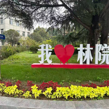 2026届林校新生交流群 群聊头像