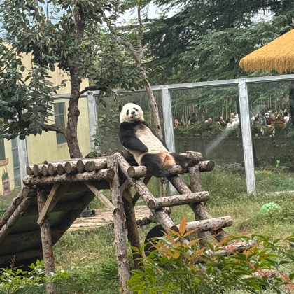 烧烤油炸串经验分享群 群聊头像