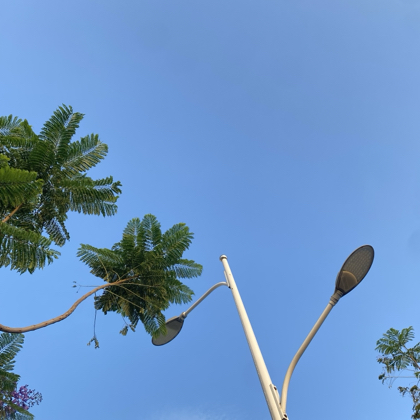 健身交流打卡群 群聊头像