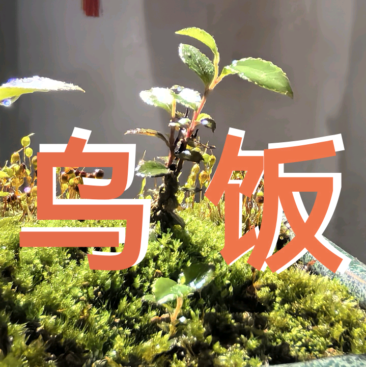 乌饭树苗交流群 群聊头像