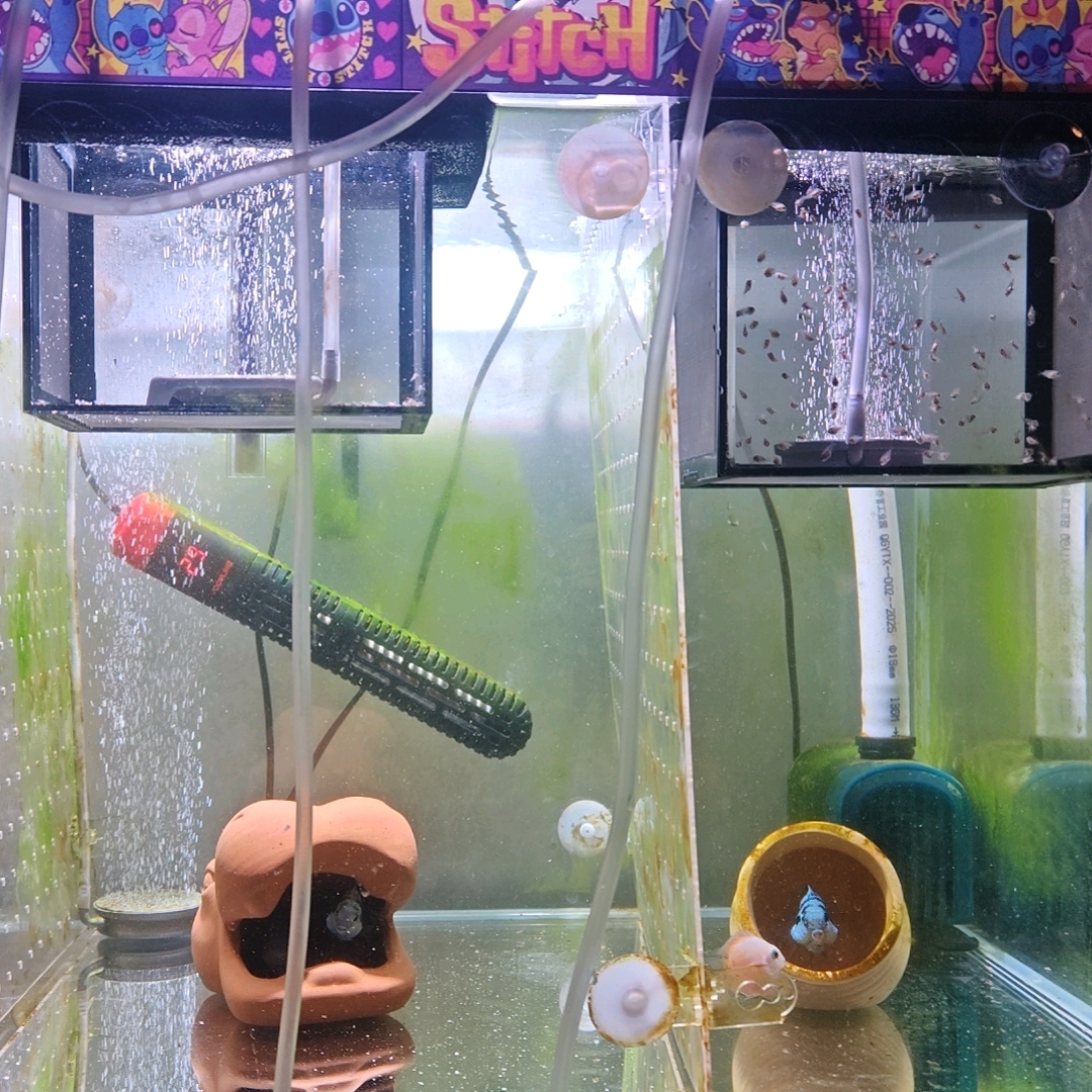 宋叨叨的鱼友群 群聊头像