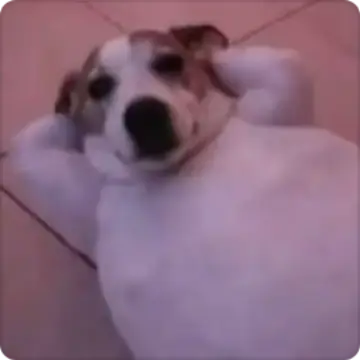 小宇宙 群聊头像