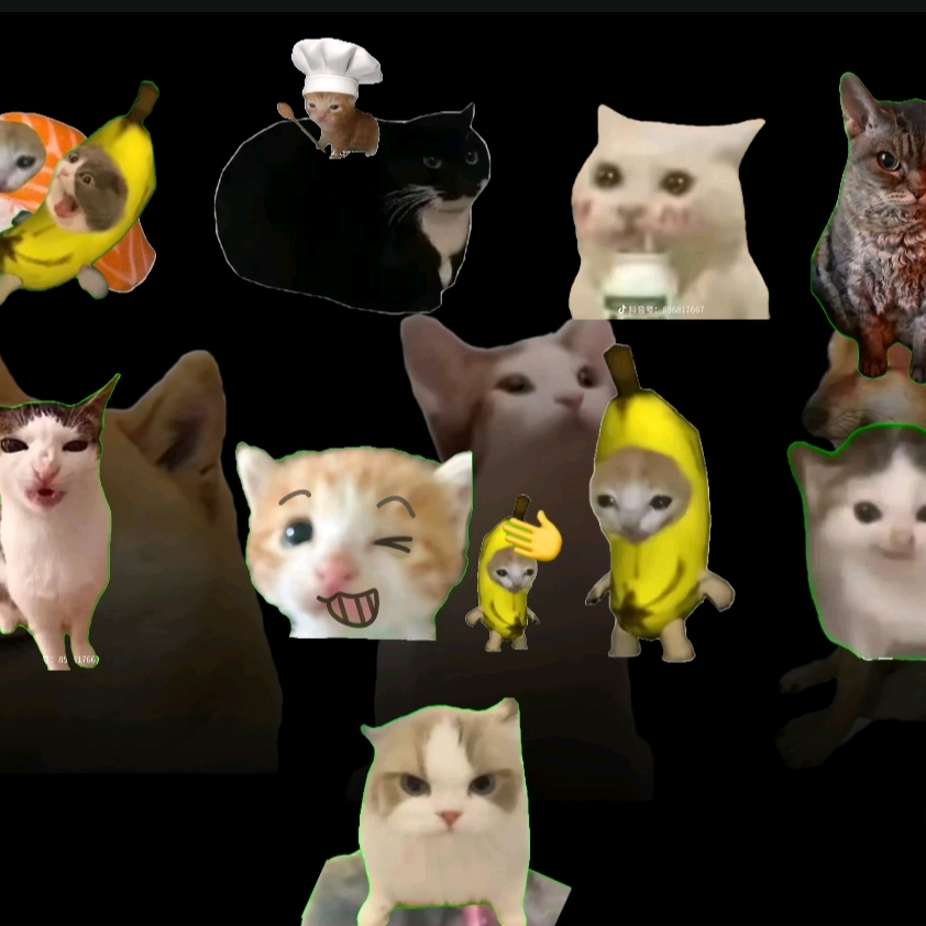猫meme群聊。 群聊头像