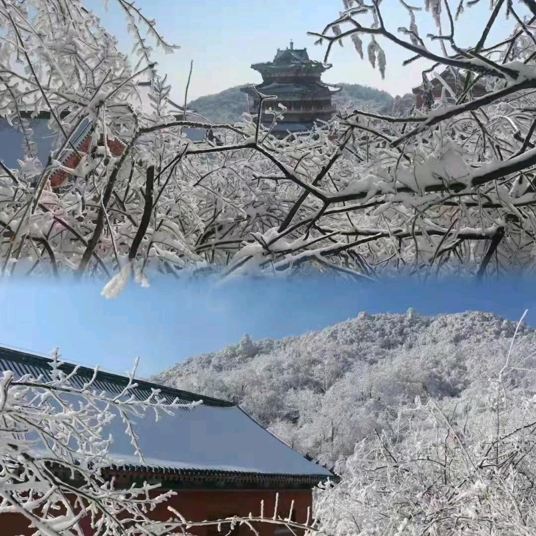 同路人一路相伴友谊群10群 群聊头像