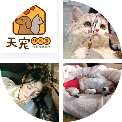 天宠救助群 群聊头像