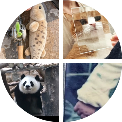 路亚打龟群2 群聊头像