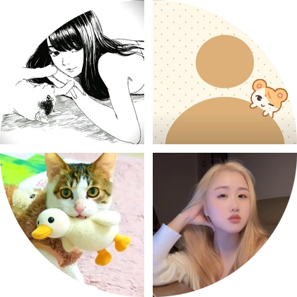 小猫救助 群聊头像