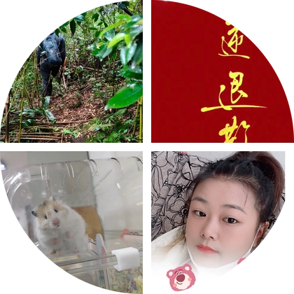 杭州掰笋大队 群聊头像