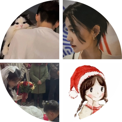 救助狗狗3群，狗狗已接回家 群聊头像